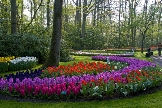 634376 (a): :2560x1700